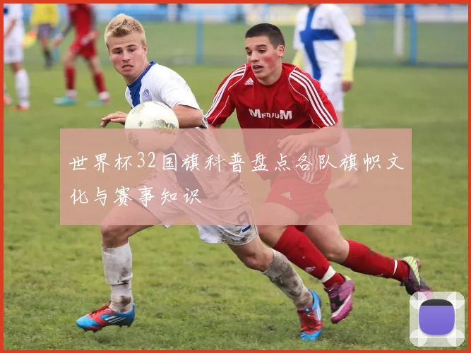 世界杯32国旗科普盘点各队旗帜文化与赛事知识