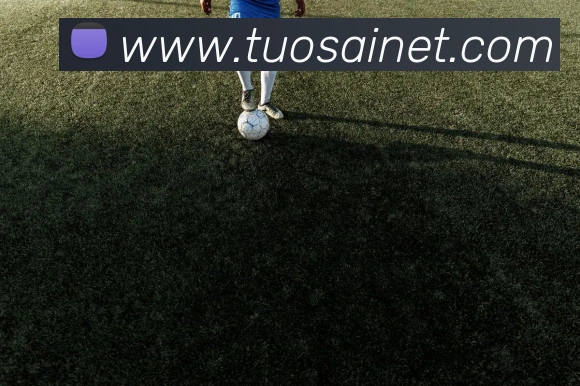 世界杯32强对阵图出炉 各队分组对阵与晋级路径一览