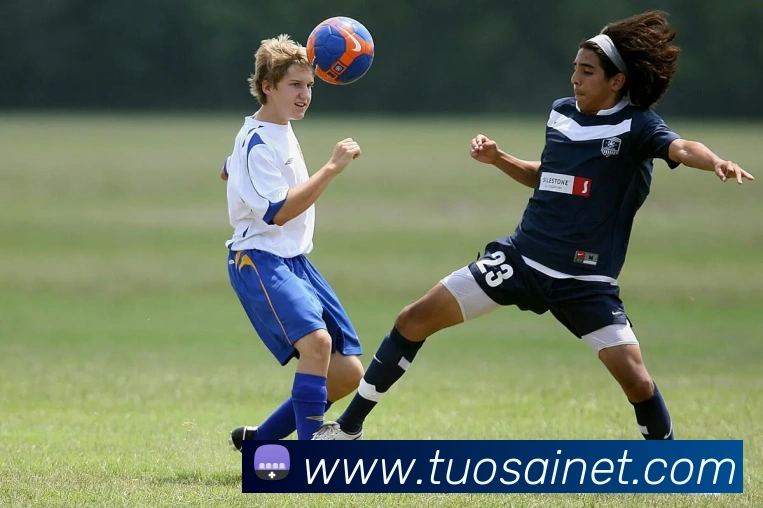 世界杯app官网APP 体育赛事宣传图